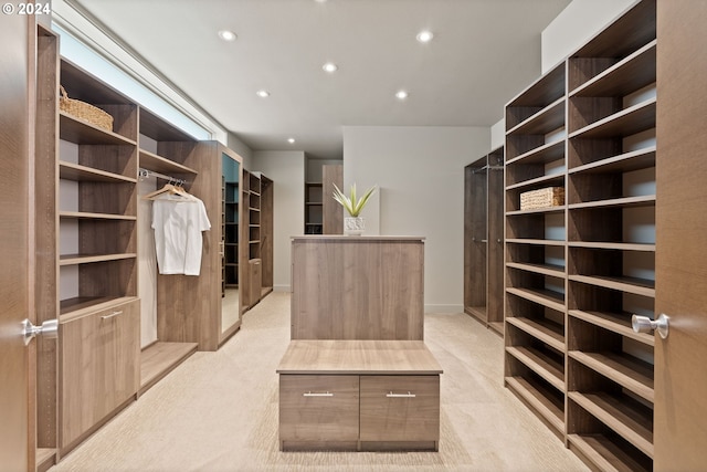 walk in closet with light colored carpet