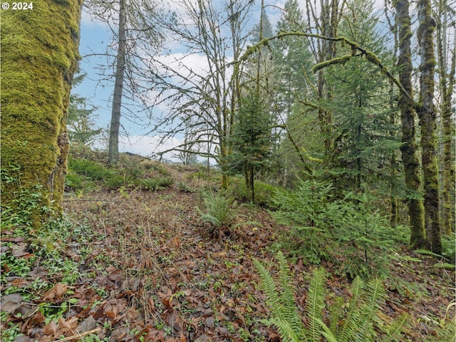 Bridge St, Vernonia OR, 97064 land for sale