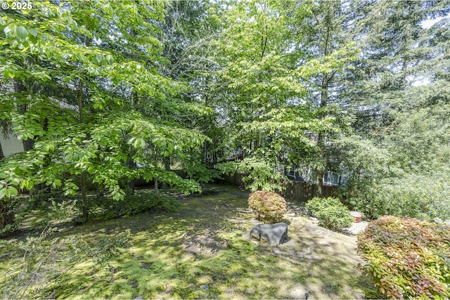 view of yard featuring fence