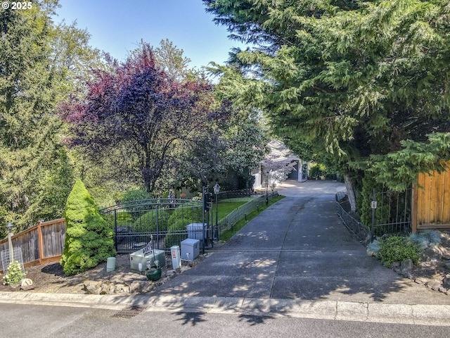 view of street with driveway, a gated entry, and a gate