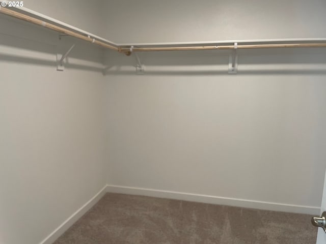 17344 SW Wapato Island Dr Unit 27, Sherwood, OR 97140 - walk in closet with carpet