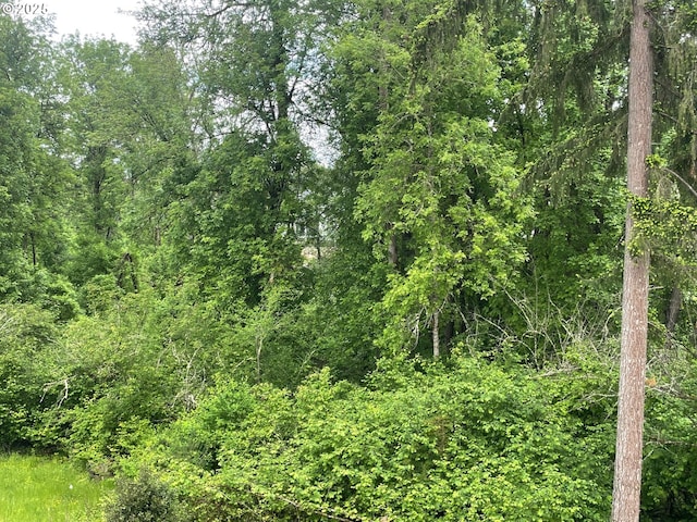17344 SW Wapato Island Dr Unit 27, Sherwood, OR 97140 - view of tree filled area