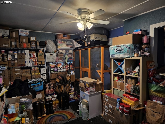 storage area featuring ceiling fan