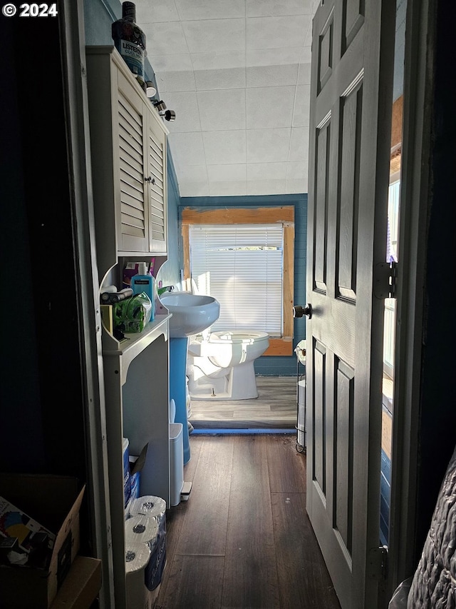 corridor with sink and dark wood-type flooring