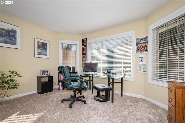 office area featuring light colored carpet