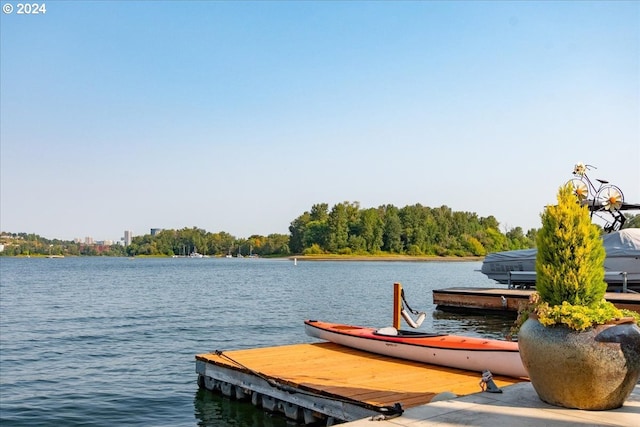 dock area featuring a water view