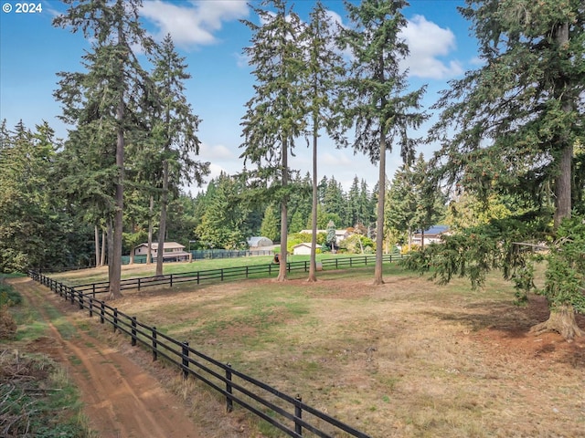 view of yard with a rural view