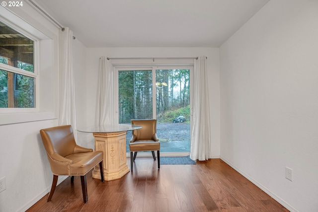 living area featuring hardwood / wood-style floors