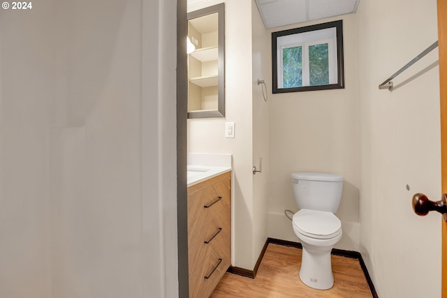 bathroom featuring vanity, toilet, and wood-type flooring