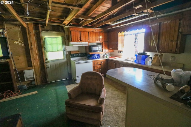 kitchen with electric range and sink