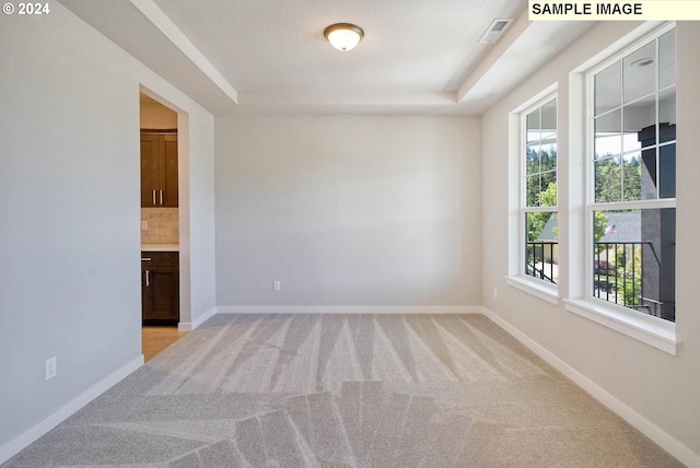 unfurnished room with a textured ceiling, light carpet, and a tray ceiling