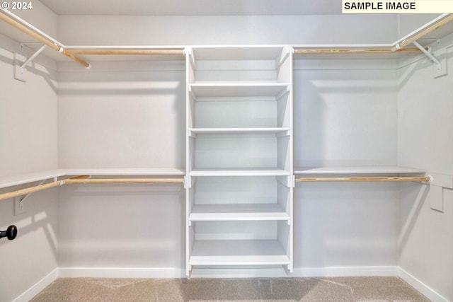 walk in closet featuring light colored carpet