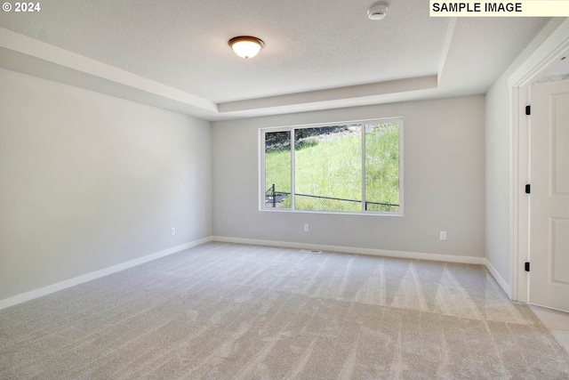 empty room with a textured ceiling, a raised ceiling, and light carpet