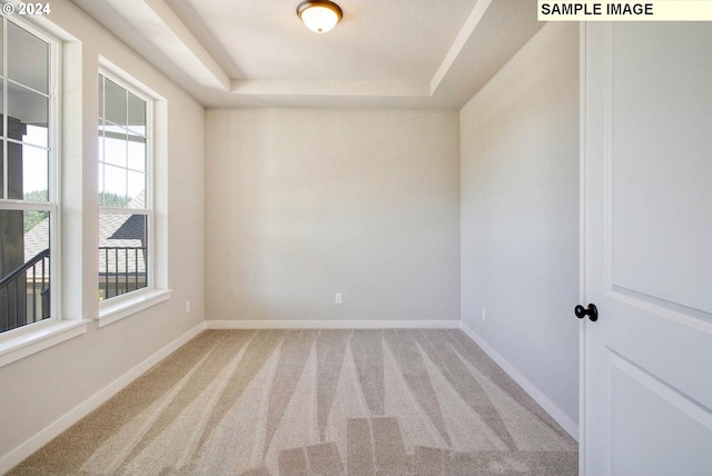 carpeted spare room featuring a raised ceiling and a textured ceiling