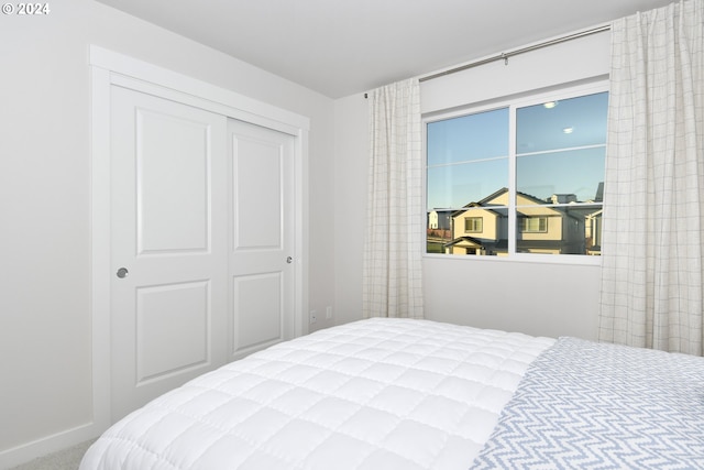 bedroom featuring carpet floors and a closet