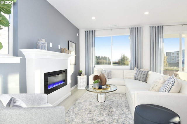 living room with a wealth of natural light and light hardwood / wood-style flooring