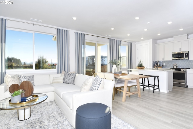 living room featuring light hardwood / wood-style flooring, a healthy amount of sunlight, and sink