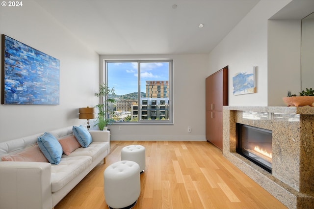 living room with hardwood / wood-style floors and a high end fireplace