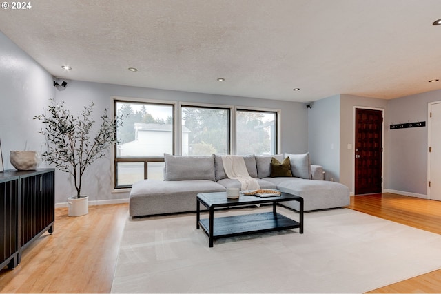 living room featuring a textured ceiling and light hardwood / wood-style floors