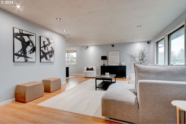 living room featuring hardwood / wood-style floors