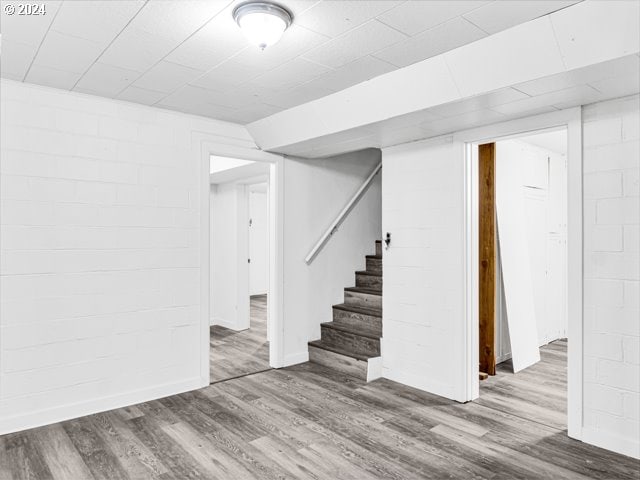 basement featuring hardwood / wood-style flooring