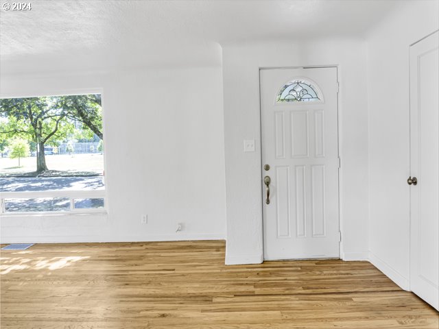 entrance foyer with a healthy amount of sunlight and light hardwood / wood-style floors