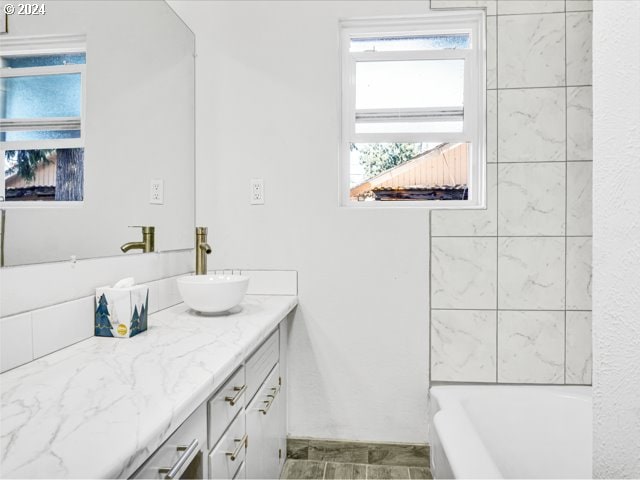 bathroom with vanity and a bathing tub