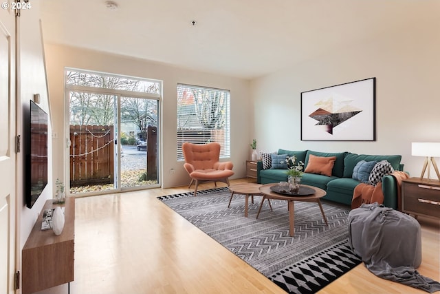 living room featuring hardwood / wood-style flooring