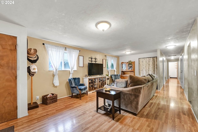 living room with a textured ceiling and light hardwood / wood-style floors