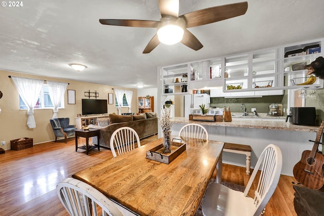 dining room with sink, ceiling fan, and light wood-type flooring