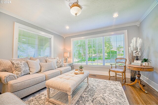 living room with wood-type flooring, crown molding, and a textured ceiling