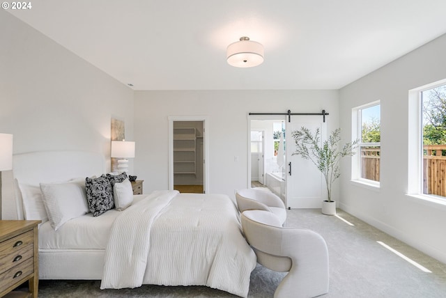 carpeted bedroom featuring a walk in closet and a closet