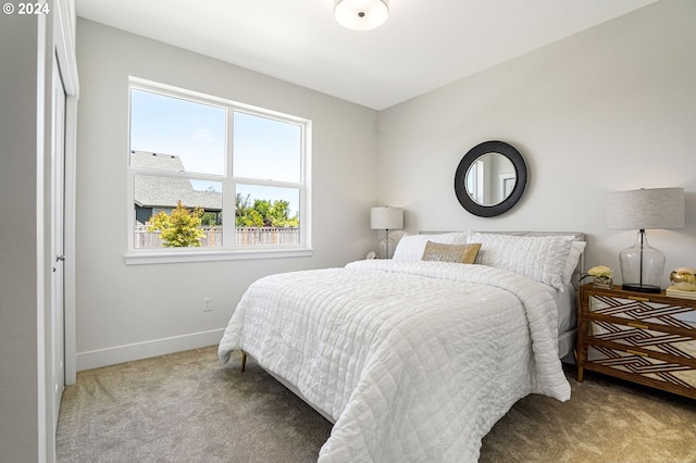 bedroom with carpet floors