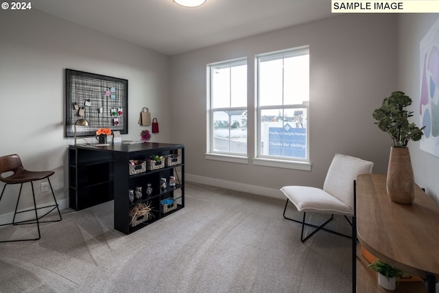 sitting room featuring carpet flooring