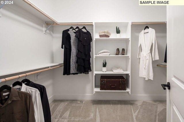 walk in closet featuring carpet flooring