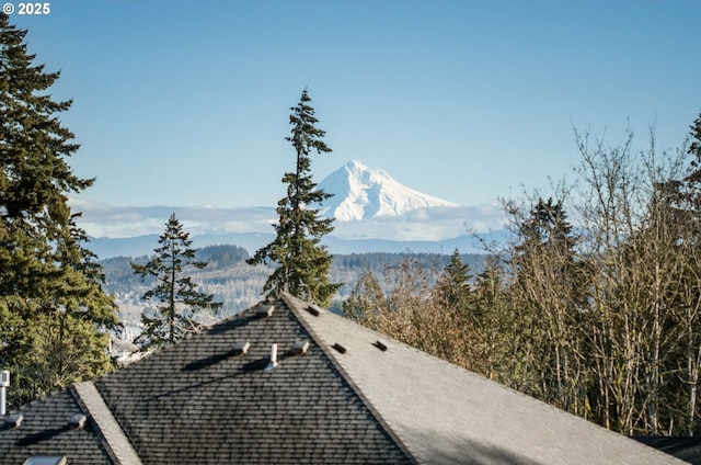 view of mountain feature