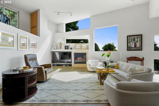 interior space with a tile fireplace, plenty of natural light, track lighting, and wood finished floors