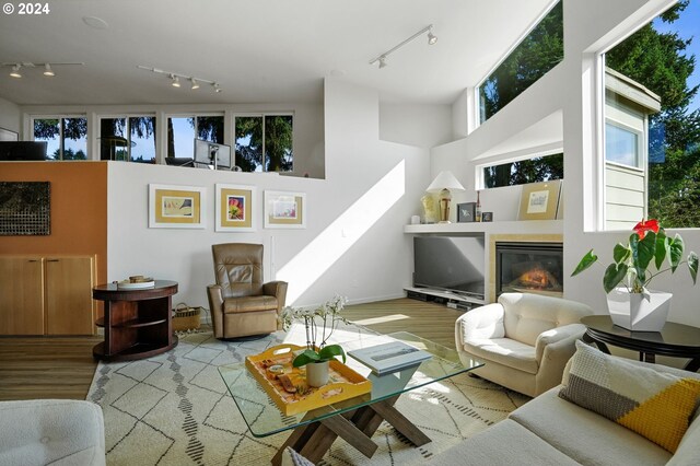 sitting room featuring a glass covered fireplace, rail lighting, and light wood-style flooring