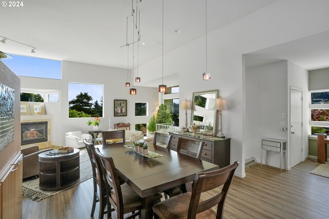 dining room with a glass covered fireplace, baseboards, and wood finished floors