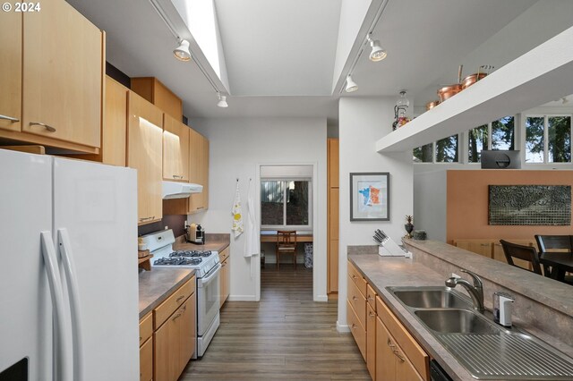 kitchen featuring white appliances, under cabinet range hood, dark wood finished floors, and rail lighting