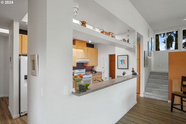 kitchen featuring dark wood-style floors, light countertops, light brown cabinetry, white appliances, and under cabinet range hood