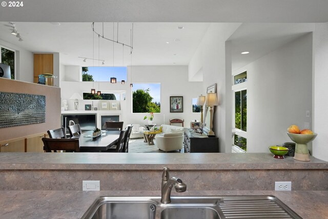 kitchen featuring open floor plan, a sink, and track lighting