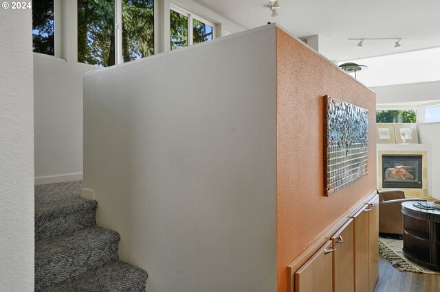 stairs featuring wood finished floors and track lighting