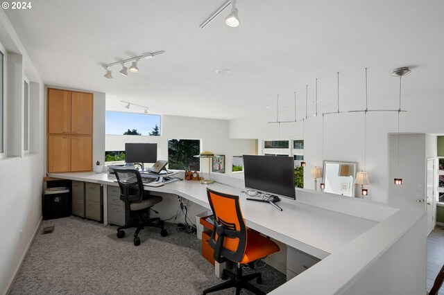 office space with rail lighting, light colored carpet, and baseboards