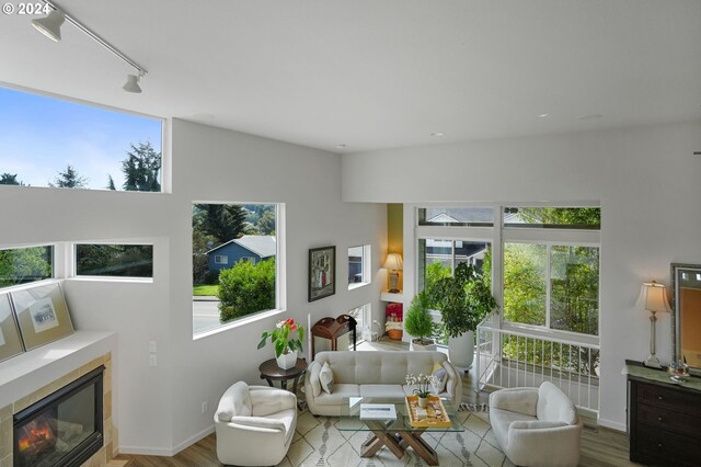 living area featuring a fireplace, wood finished floors, rail lighting, and baseboards