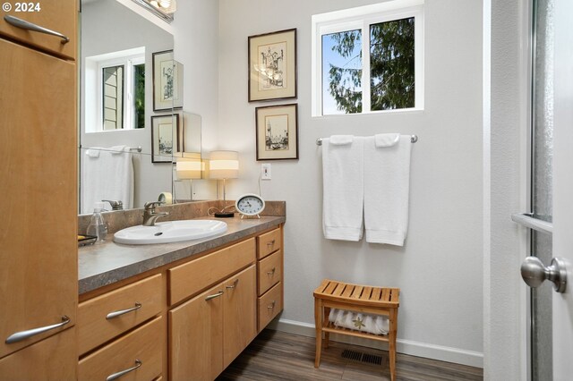 bathroom featuring vanity, baseboards, and wood finished floors