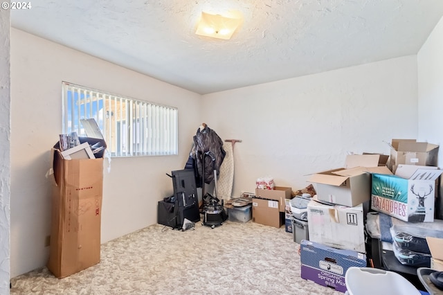 view of storage room