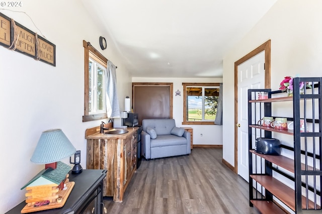 living area featuring sink and hardwood / wood-style floors