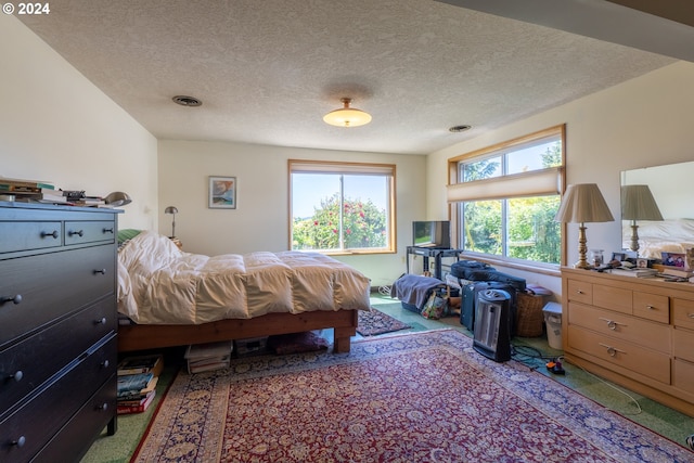 bedroom featuring carpet floors, multiple windows, and a textured ceiling