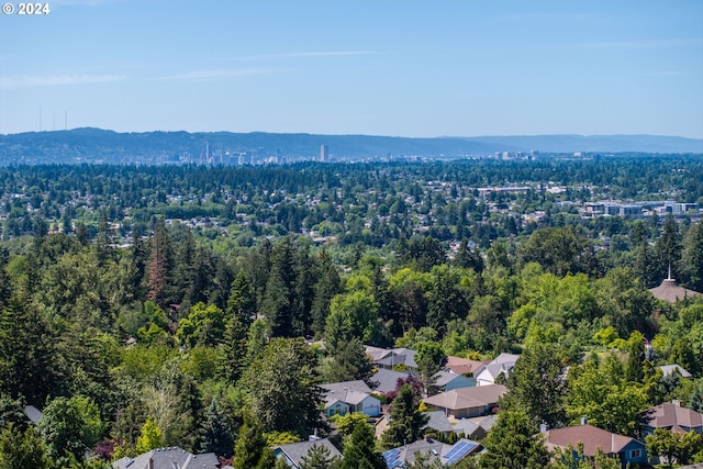 drone / aerial view featuring a mountain view